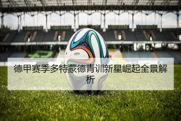 德甲赛季多特蒙德青训新星崛起全景解析